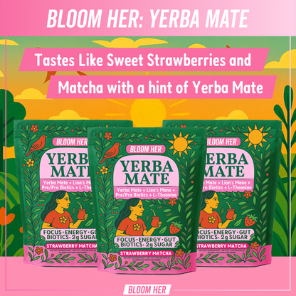Yerba Mate Instant Tea Powder