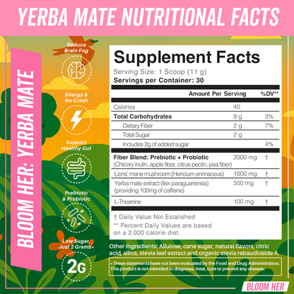 Yerba Mate Instant Tea Powder